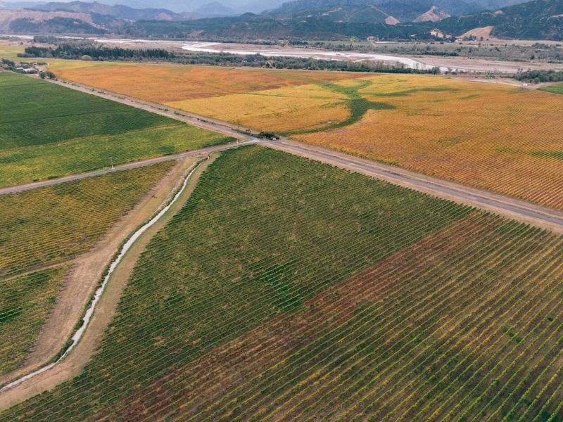Sweeping aerial view showcasing colorful autumn vineyards, intersecting roads, and distant mountains.