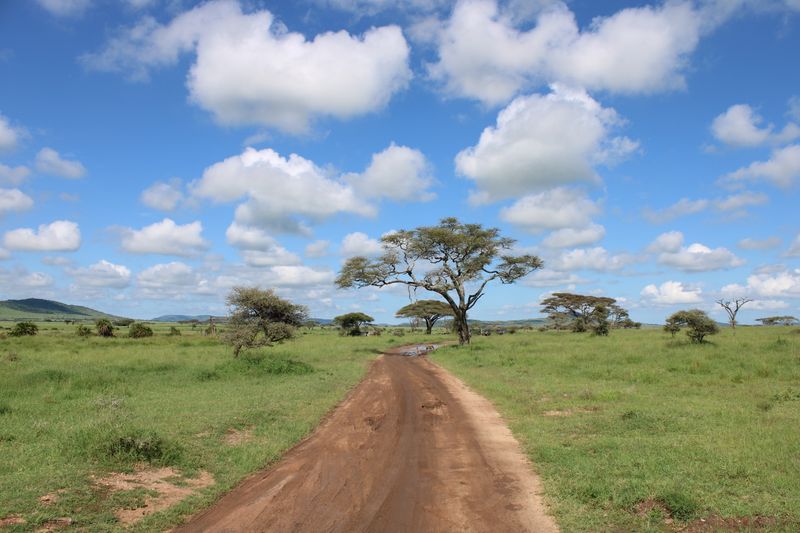Tanzania