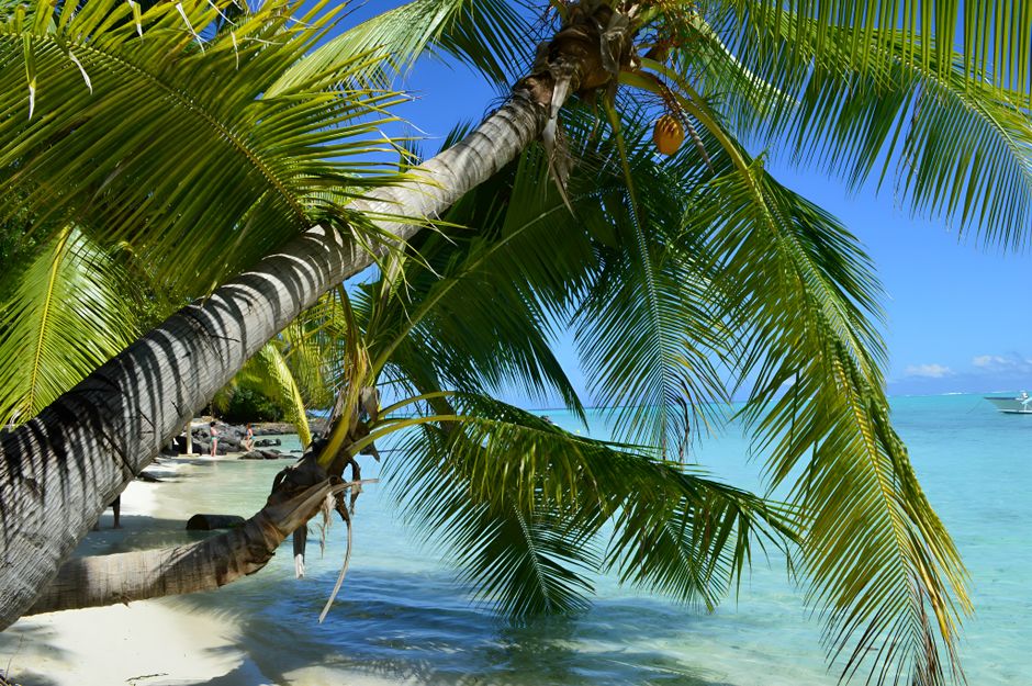 Bora Bora vs the Maldives: An Honest Comparison