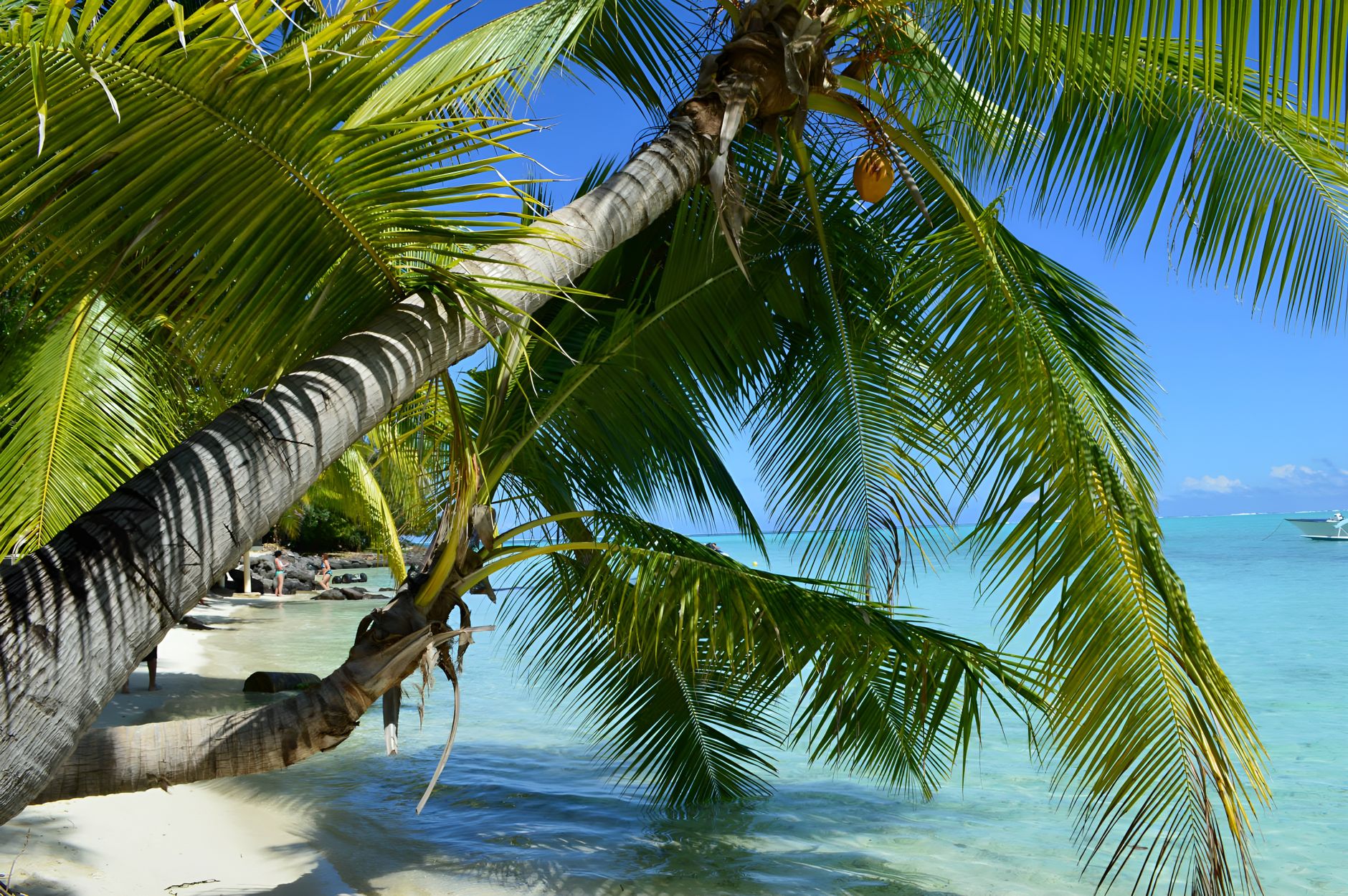Bora Bora vs the Maldives: An Honest Comparison