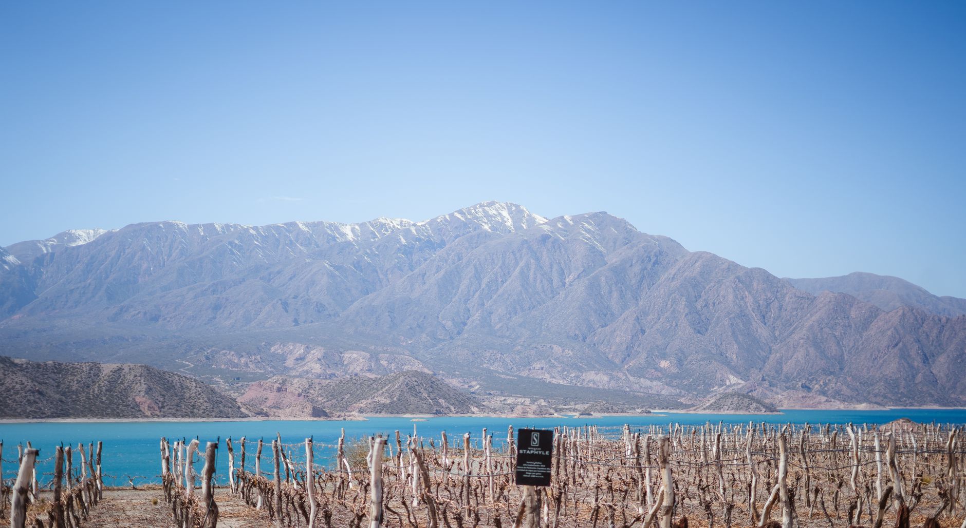 Buenos Aires and Mendoza: City Nights, Vineyard Days